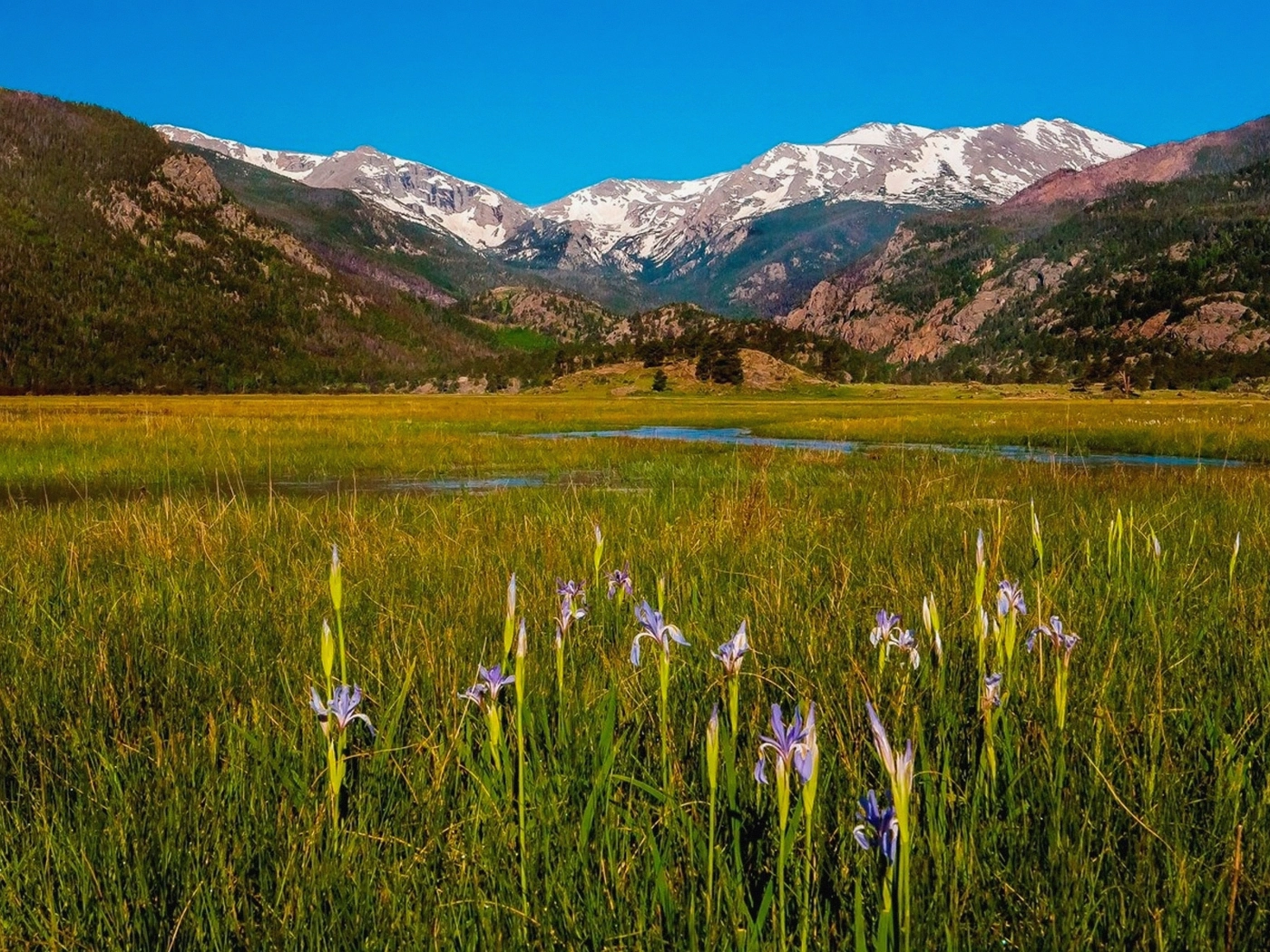 Mountain Acreage in Boulder